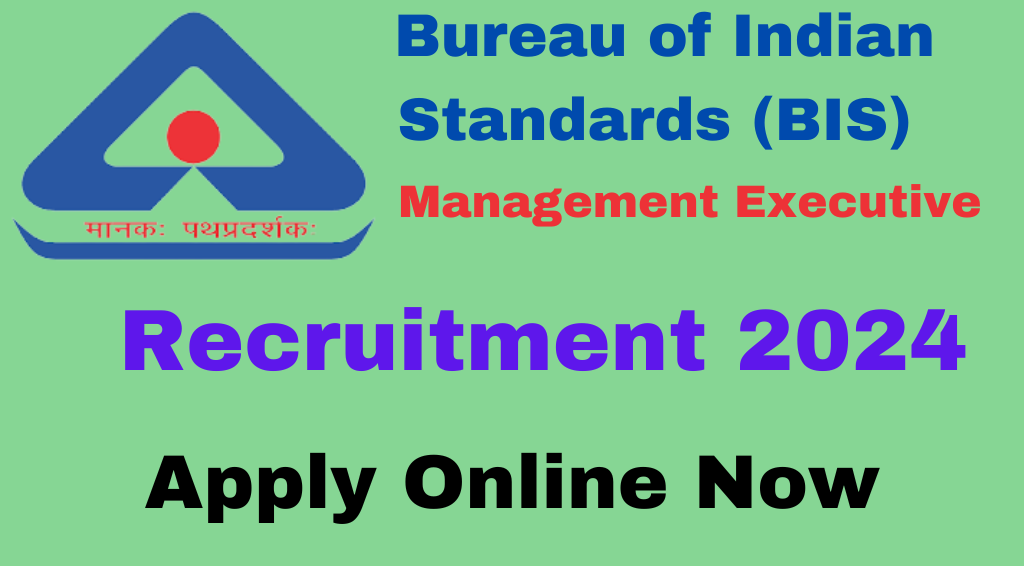 BIS Management Executive Recruitment 2024